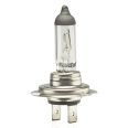 01156 Bec halogen H7 12V/55W filtr UV