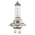 01252 Bec halogen H7 24V 70W UV filter (E8)